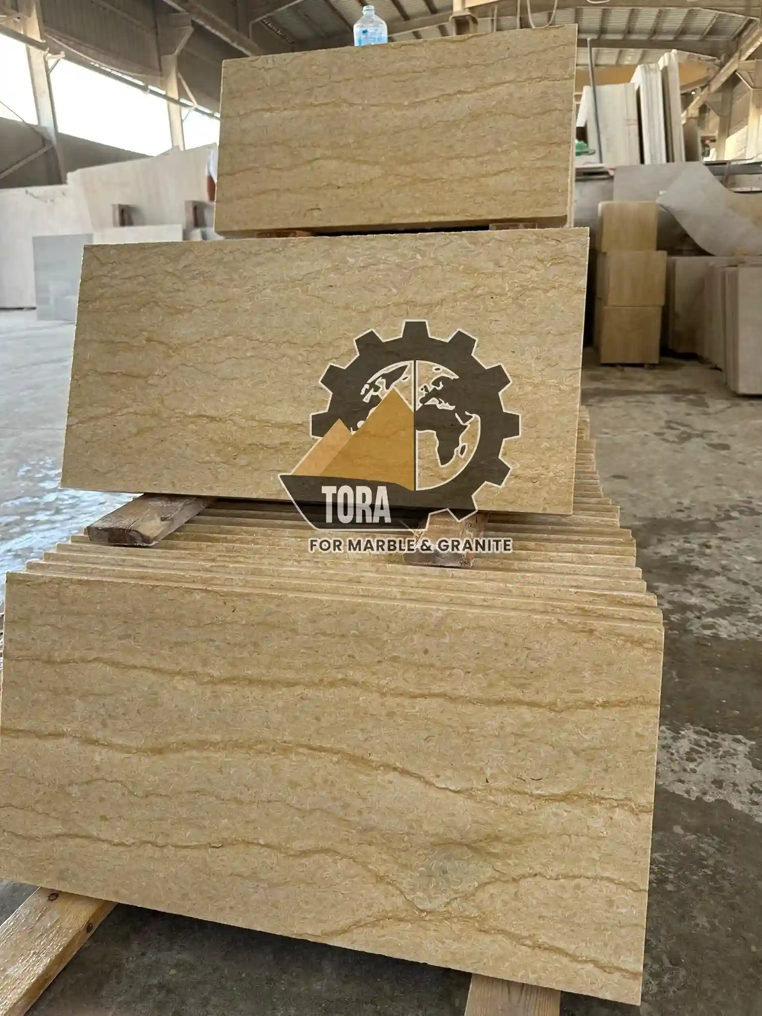 Silvia Menia Polished