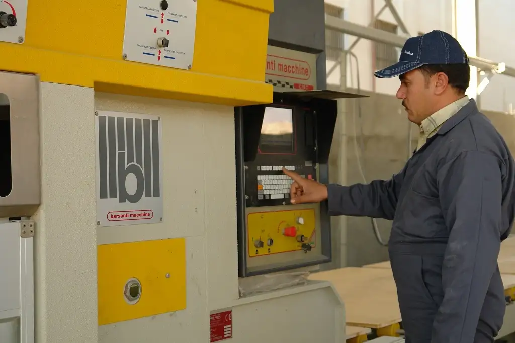 Professional Laborers