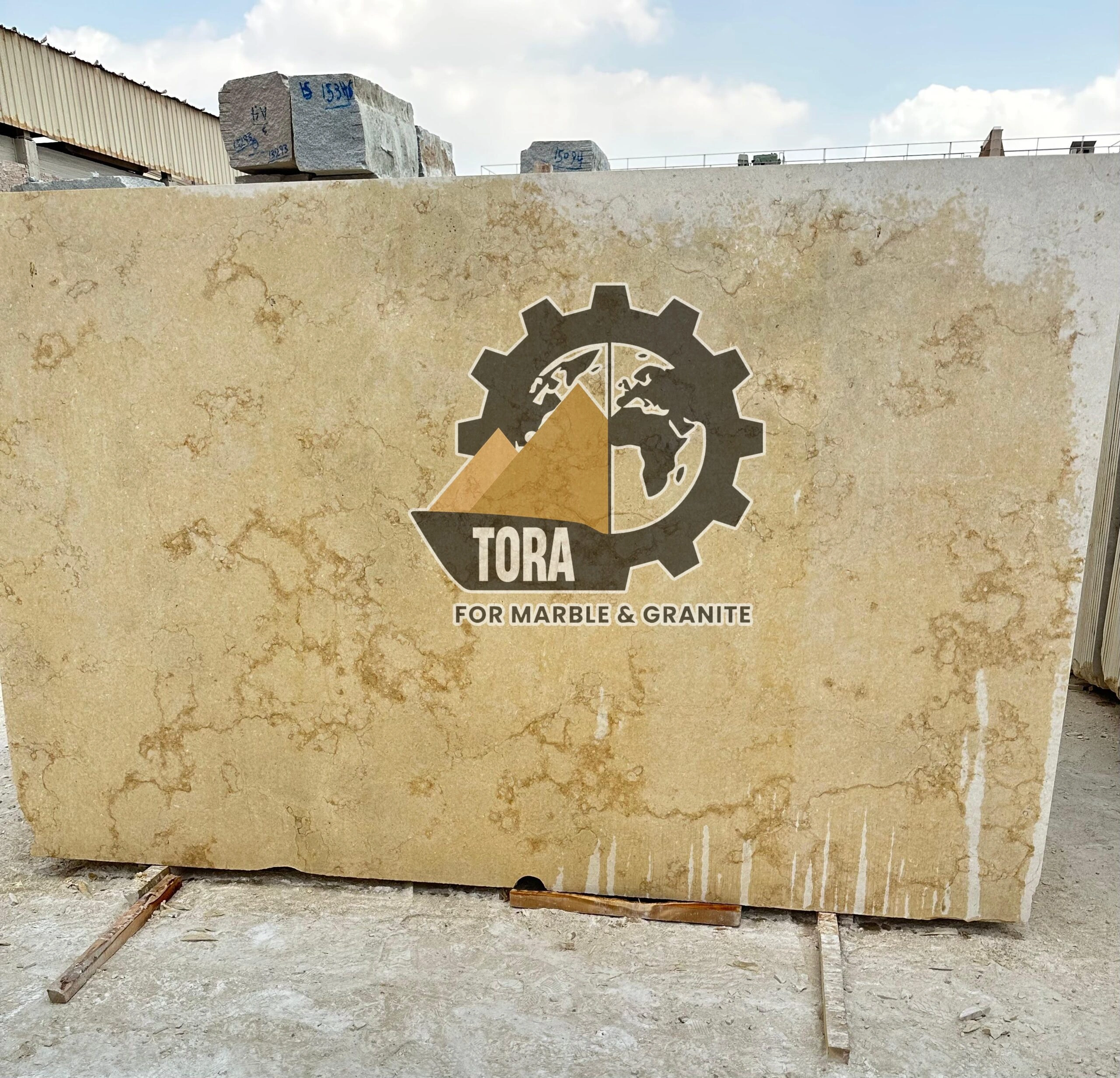 Yellowish Sunny Menia